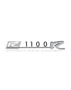 Windscreens & Windshields for BMW R 1100 R | MotorcycleScreens.eu