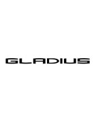 Windscreens & Windshields for SUZUKI SFV 650 GLADIUS | MotorcycleScreens.eu