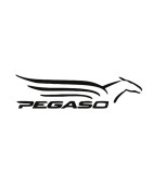 Windscreens & Windshields Aprilia Pegaso 650 | MotorcycleScreens.eu