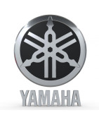 Windscreens & Windshields for YAMAHA XV 1700 ROAD STAR WARRIOR | MotorcycleScreens.eu