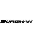 Windscreens & Windshields for SUZUKI BURGMAN 650 | MotorcycleScreens.eu